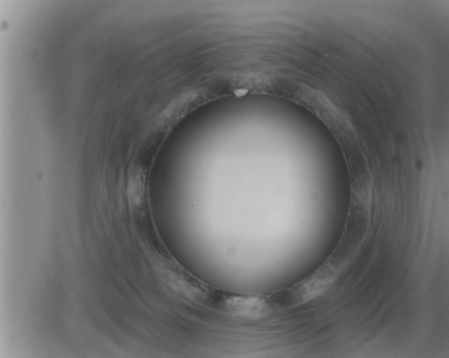 X0000083530133200702161922