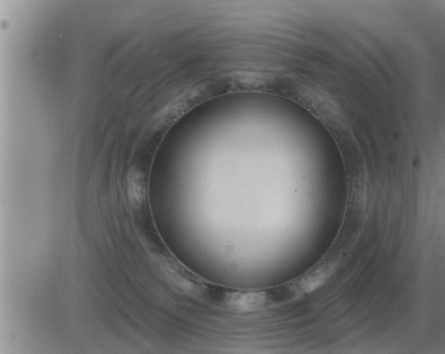 X0000083530135200702161922