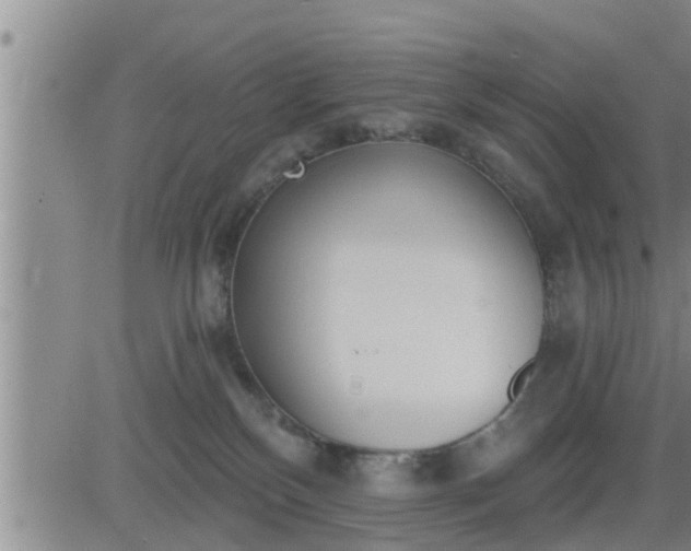 X0000083530136200702161922