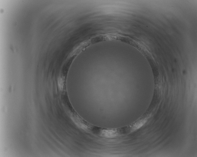 X0000083530139200702161922