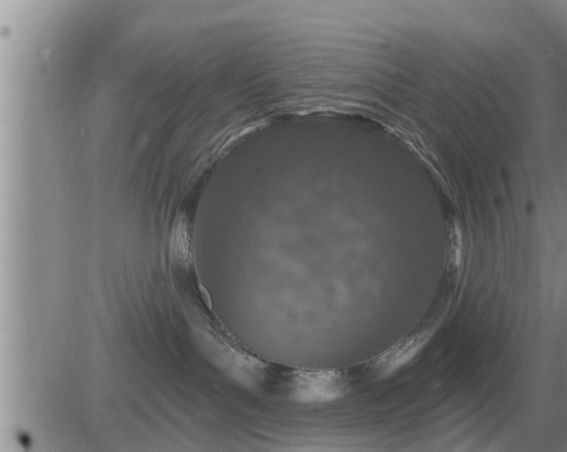 X0000083530143200702161922