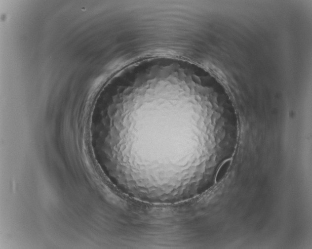 X0000083530145200702161921