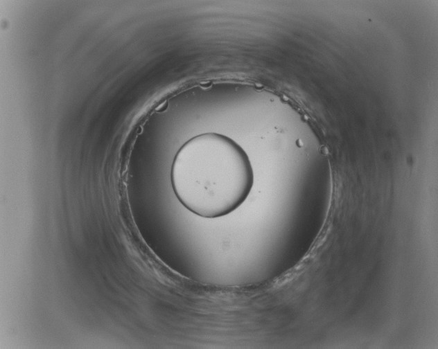 X0000083530146200702161921