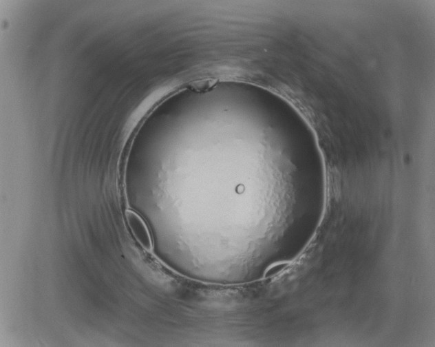 X0000083530147200702161921