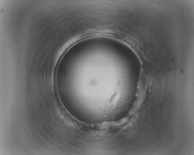 X0000083530148200702161921