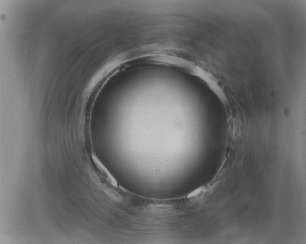 X0000083530150200702161921