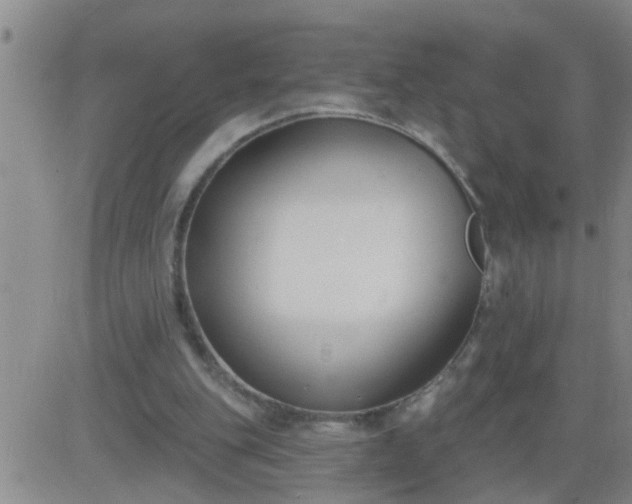 X0000083530151200702161921