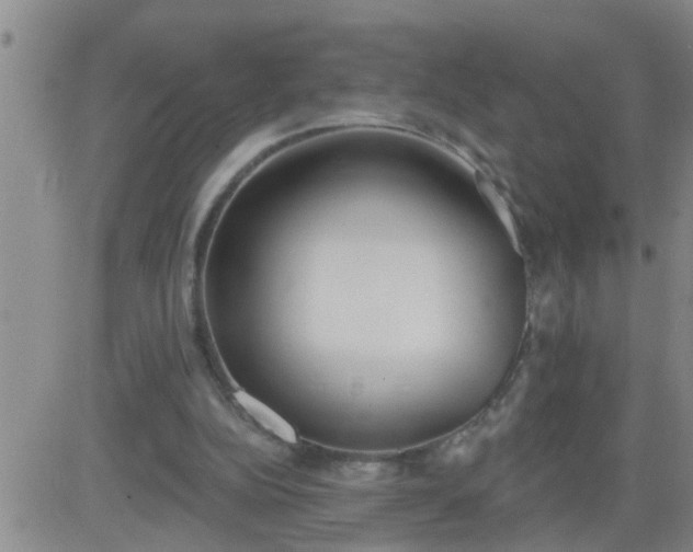 X0000083530152200702161921