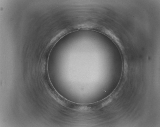 X0000083530153200702161921