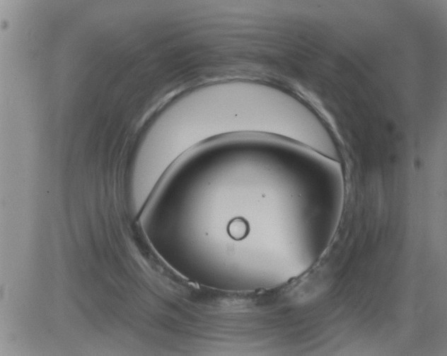 X0000083530154200702161921