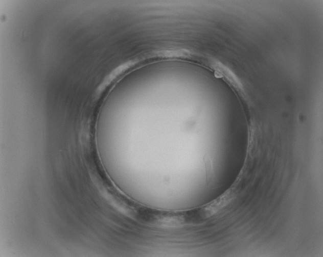 X0000083530155200702161921