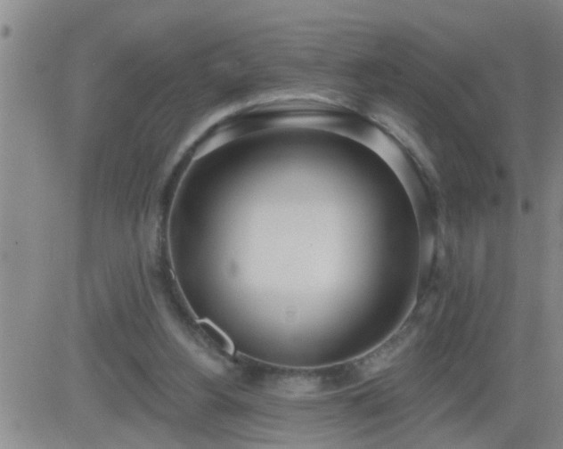 X0000083530156200702161921