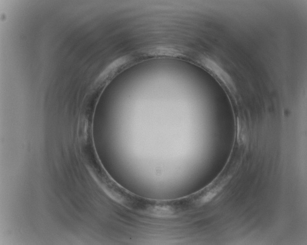 X0000083530157200702161921