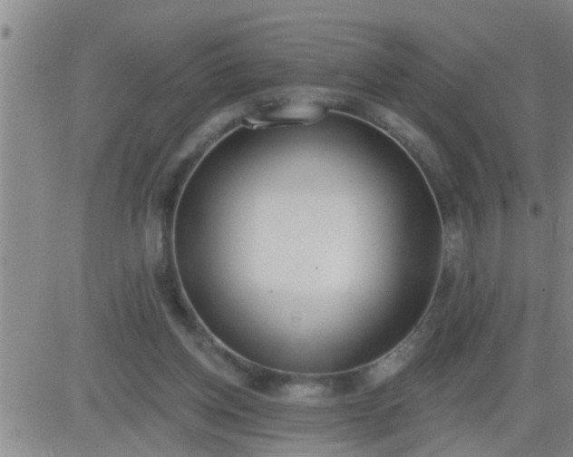 X0000083530158200702161921