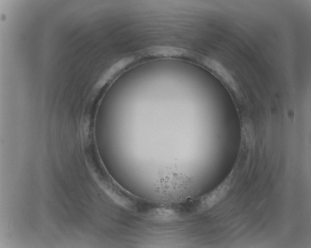 X0000083530159200702161921