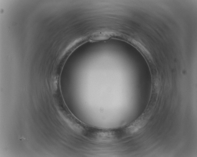 X0000083530160200702161921