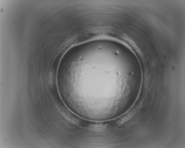 X0000083530161200702161921