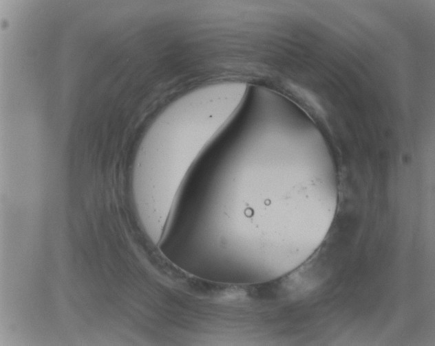 X0000083530162200702161921