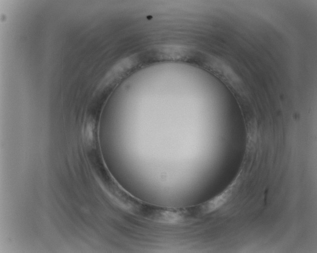 X0000083530166200702161921