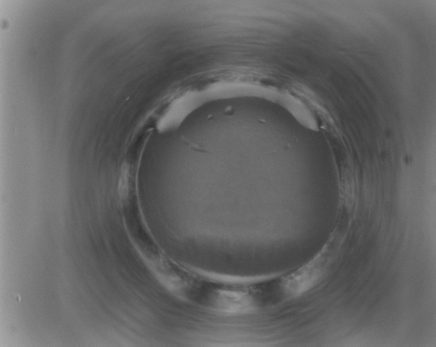 X0000083530167200702161921