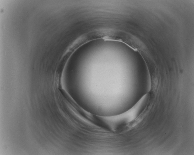 X0000083530168200702161921