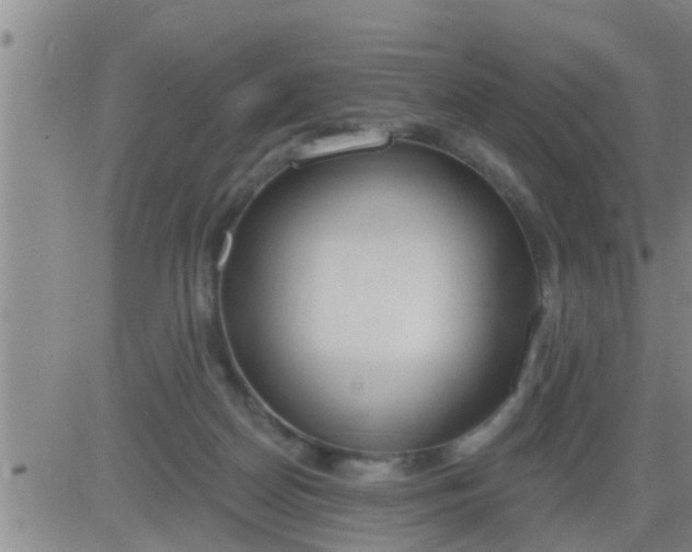 X0000083530170200702161921