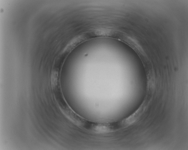 X0000083530171200702161921