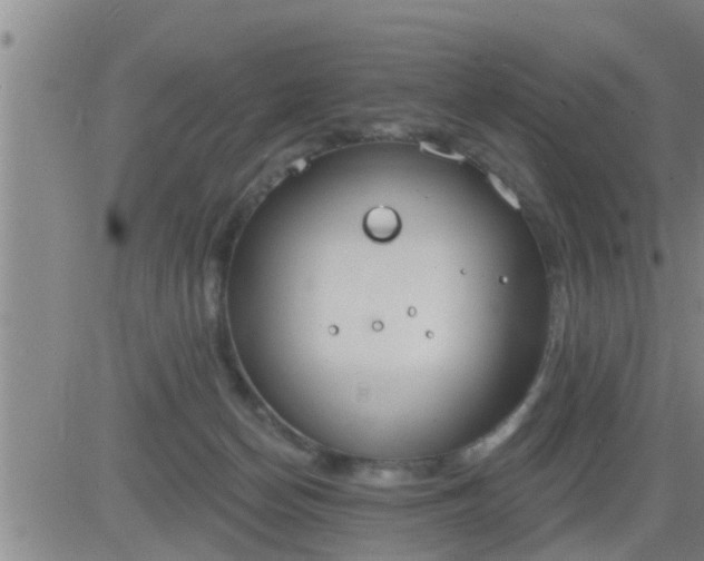 X0000083530174200702161921