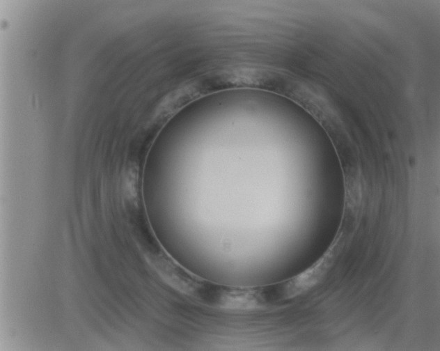 X0000083530175200702161921