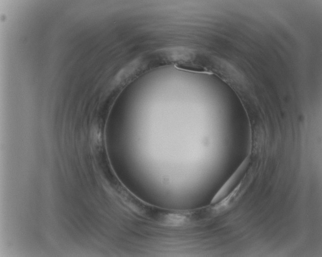 X0000083530176200702161921