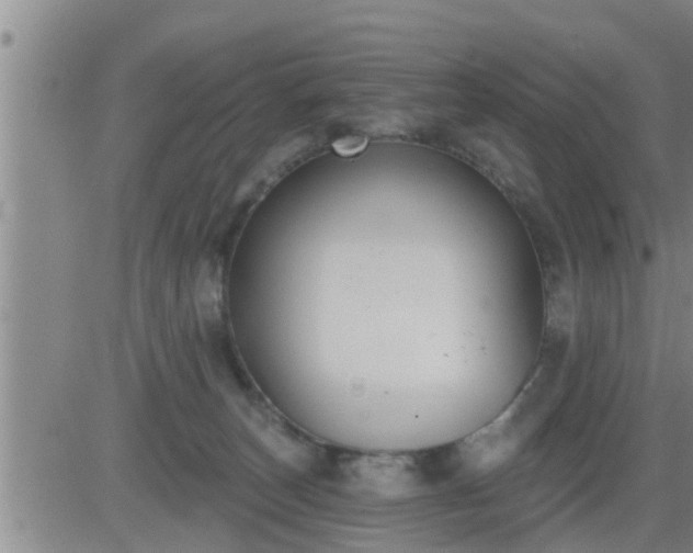 X0000083530179200702161921