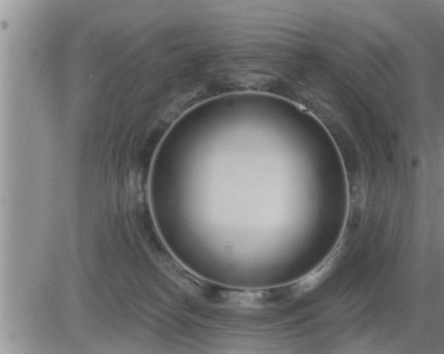 X0000083530182200702161921