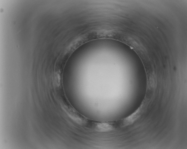 X0000083530183200702161921