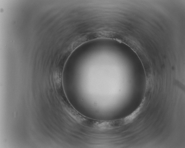 X0000083530186200702161921