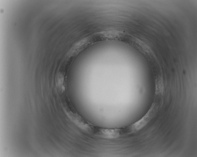 X0000083530187200702161921