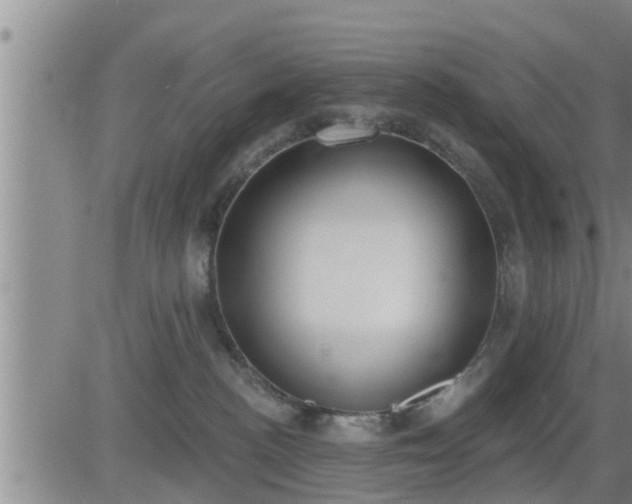 X0000083530188200702161921