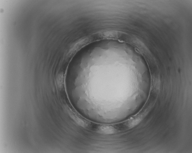 X0000083530189200702161922