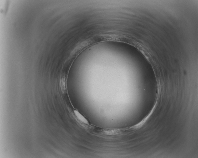 X0000083530190200702161922