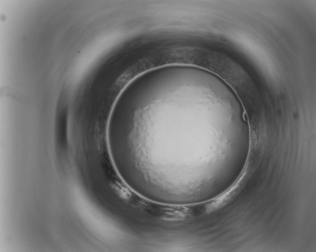 X0000083530191200702161922