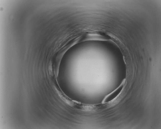 X0000083530192200702161922