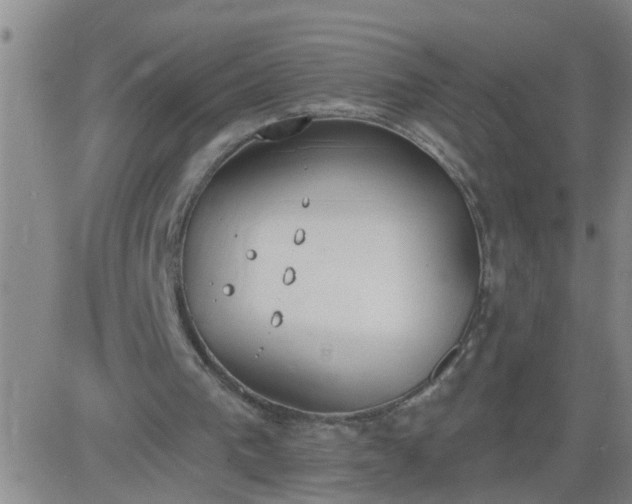 X0000083530193200702161921