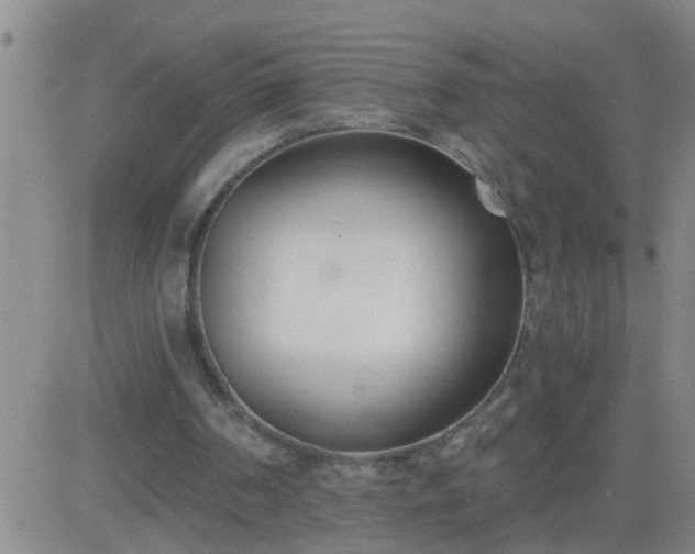 X0000083530194200702161921