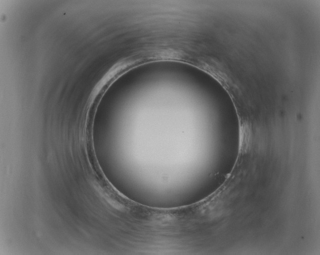 X0000083530195200702161921