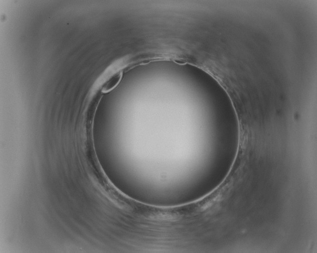 X0000083530198200702161921