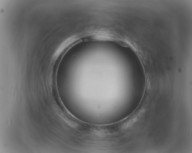 X0000083530199200702161921