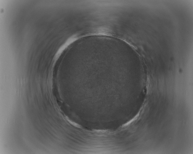 X0000083530200200702161921