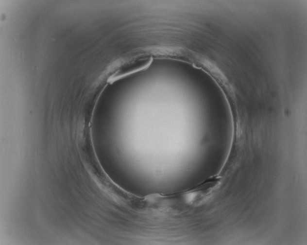 X0000083530201200702161921