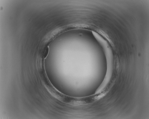 X0000083530205200702161921