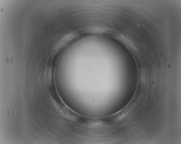 X0000083530206200702161921