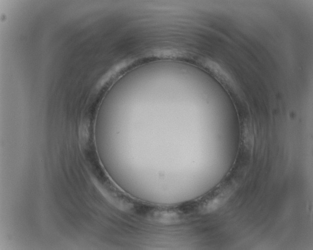 X0000083530208200702161921